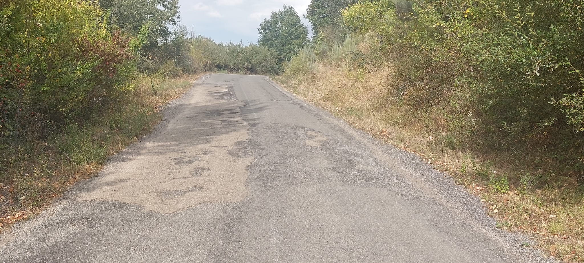 Carreteras del municipio de Castropodame