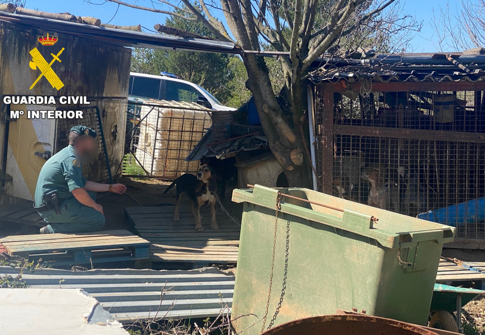 Investigación por maltrato animal en Lillo del Bierzo Investigación por maltrato animal en Lillo del Bierzo