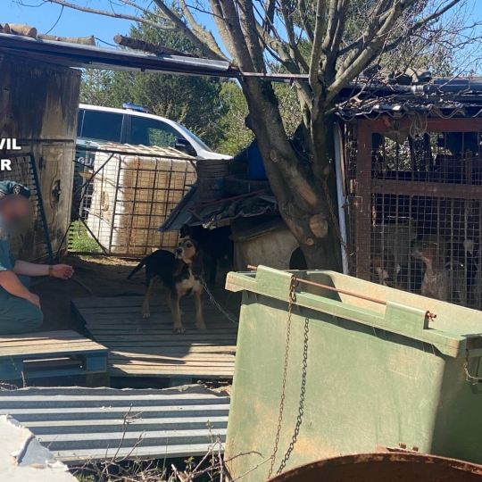 Investigación por maltrato animal en Lillo del Bierzo