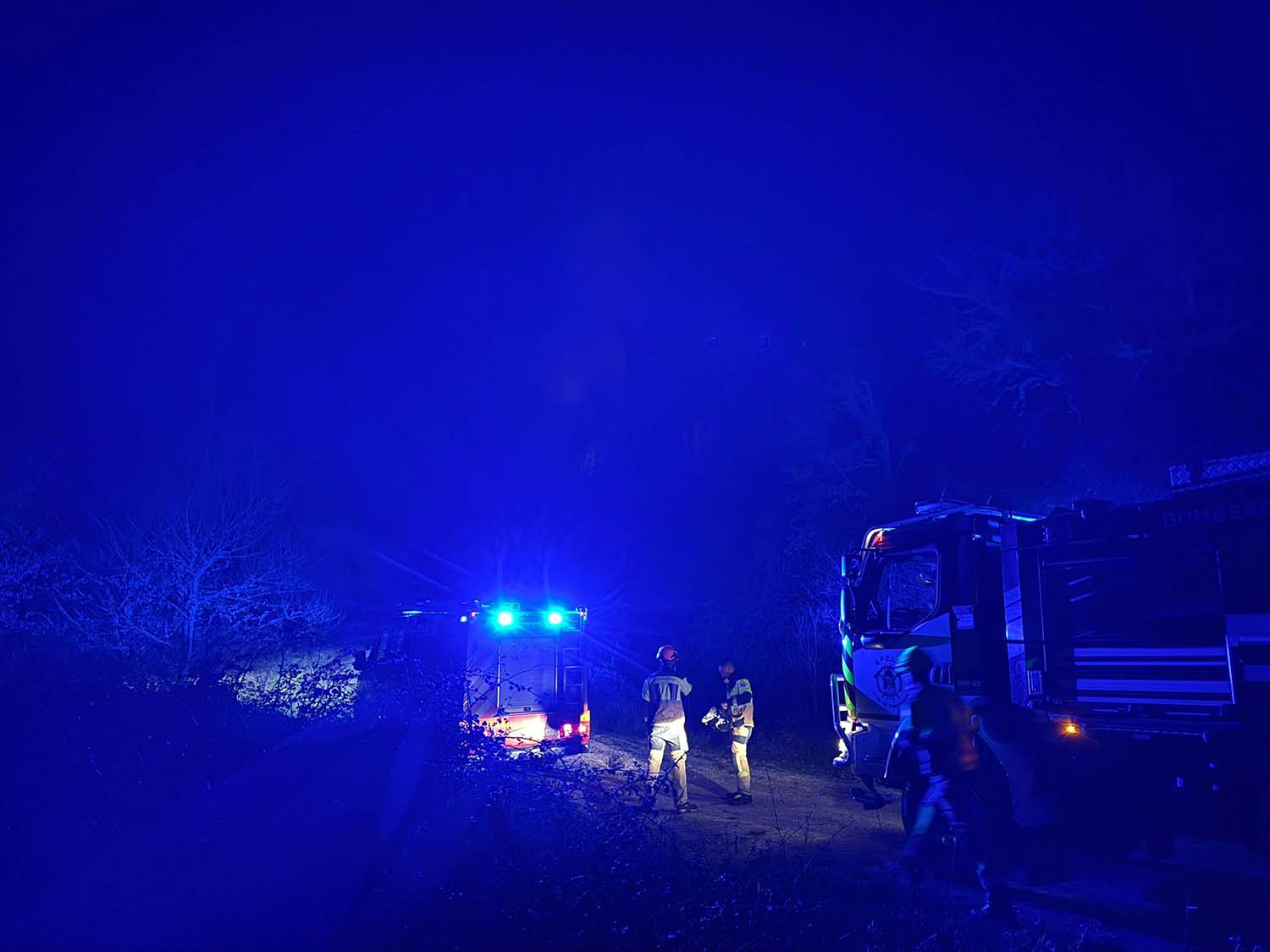 Incendio en Vega de Valcarce 2