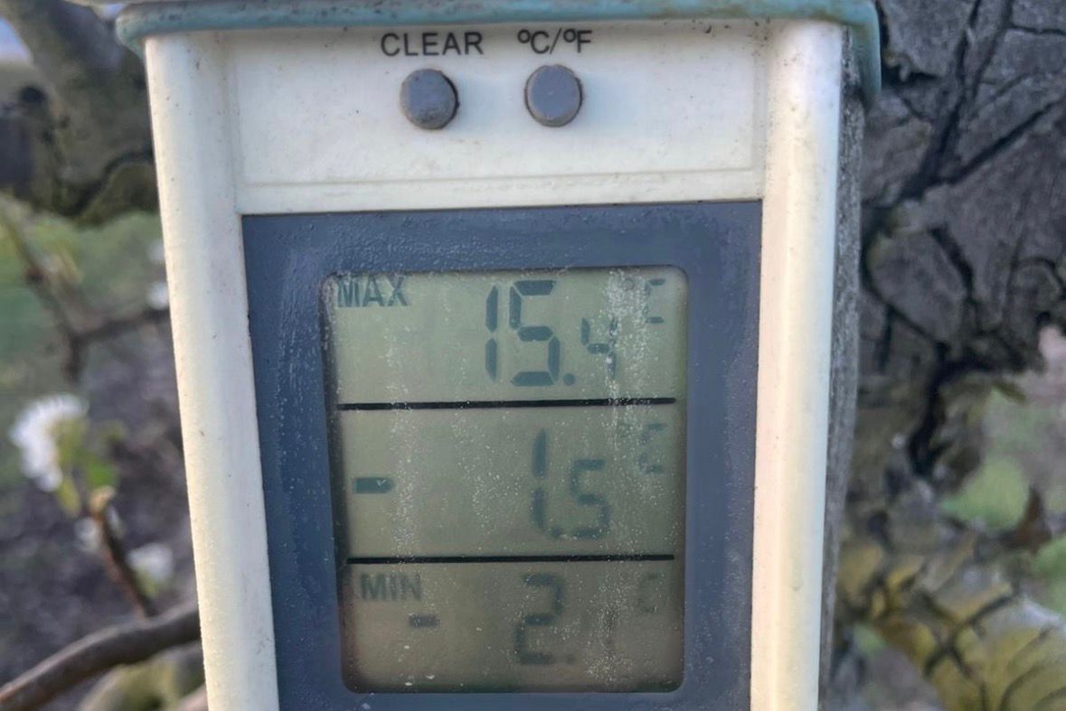 Termómetro Termómetro