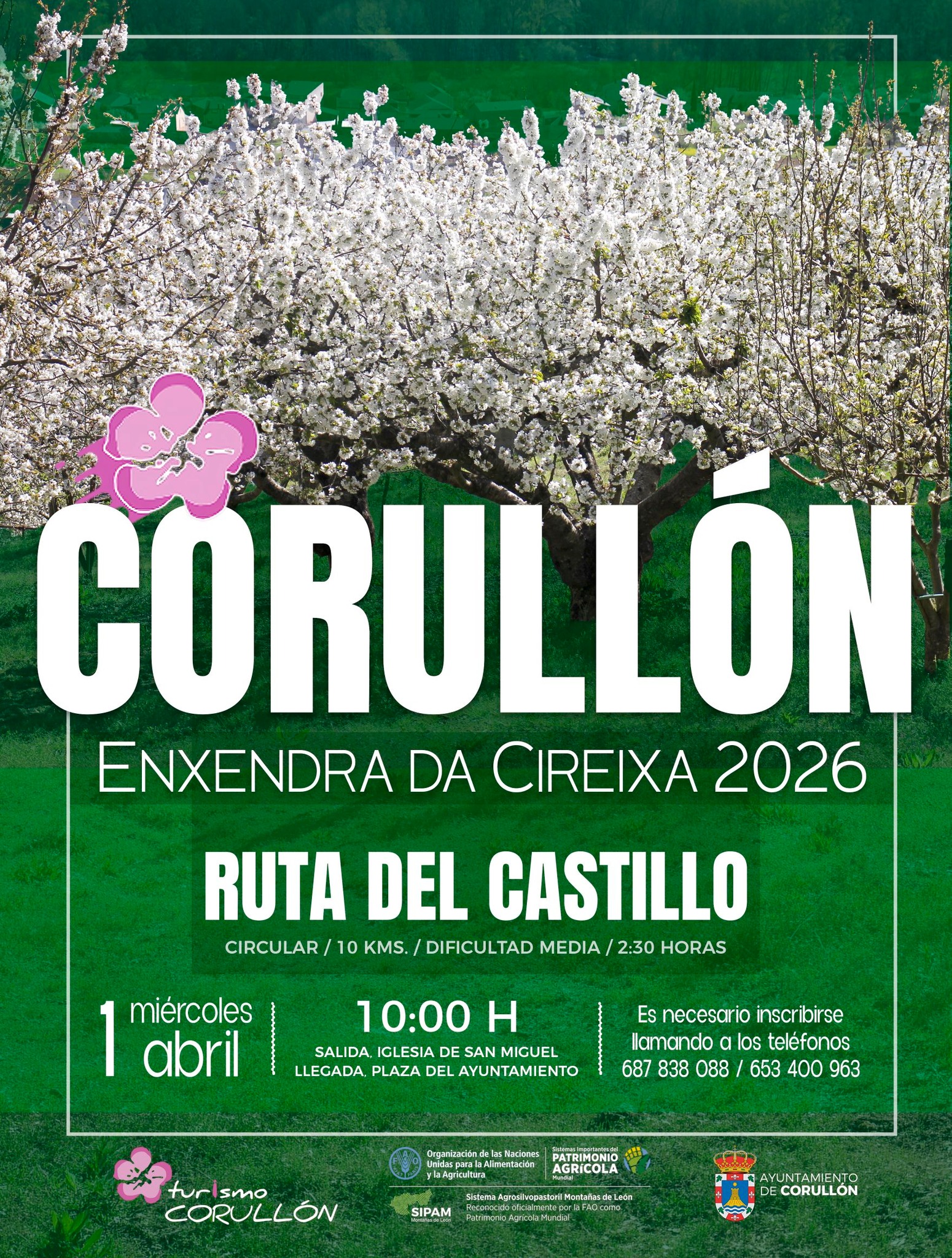 Ruta cerezos Corullón