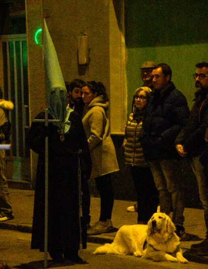  Procesión del Santo Cristo del Camino (73)