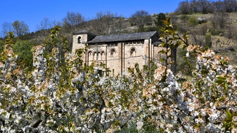 Cerezos en Corullón 21 Cerezos en Corullón 21