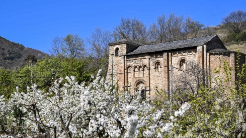 Cerezos en Corullón 23 Cerezos en Corullón 23