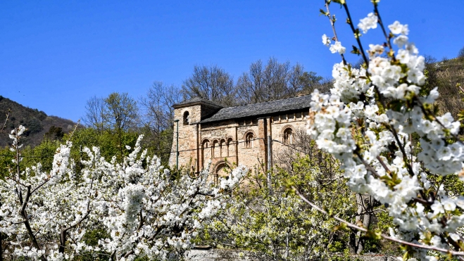 Cerezos en Corullón 28