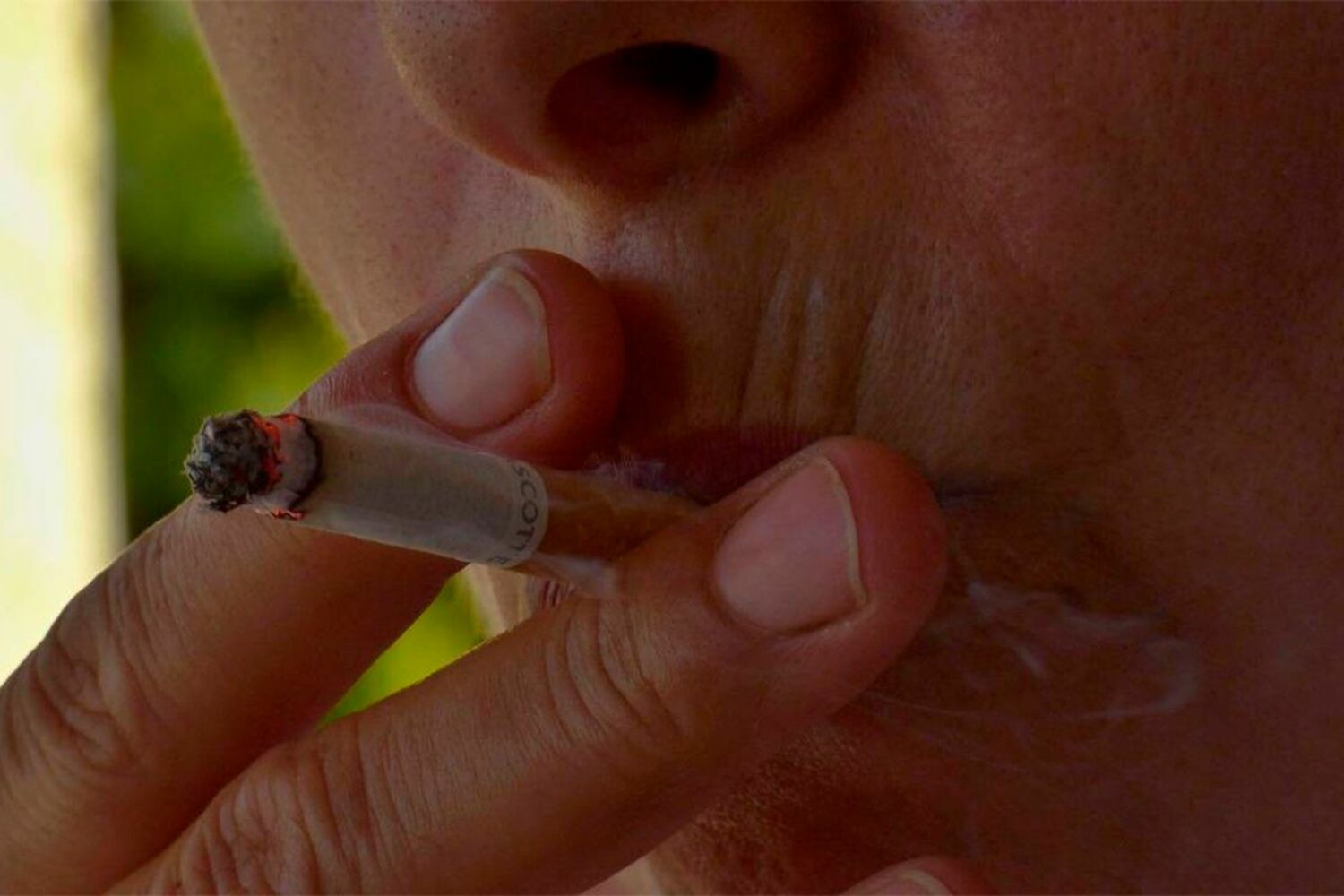 La Guardia Civil de León incauta cerca de 36 kilos de picadura de tabaco ilegal La Guardia Civil de León incauta cerca de 36 kilos de picadura de tabaco ilegal