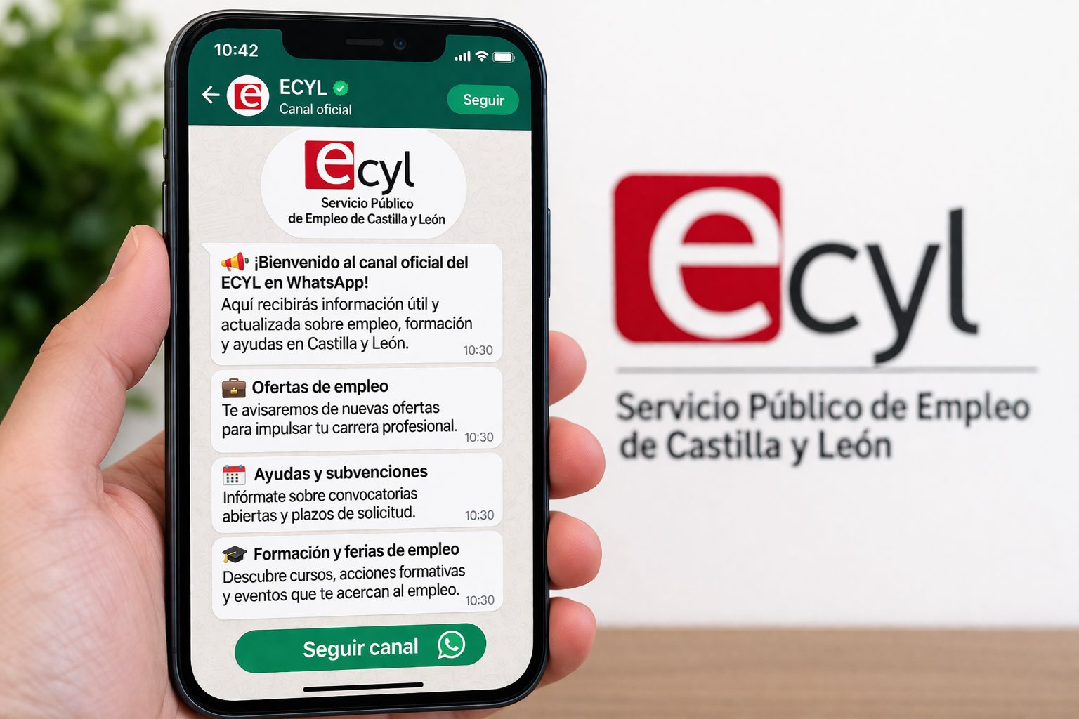 WhatsApp Image 2026 04 04 at 11.14.03