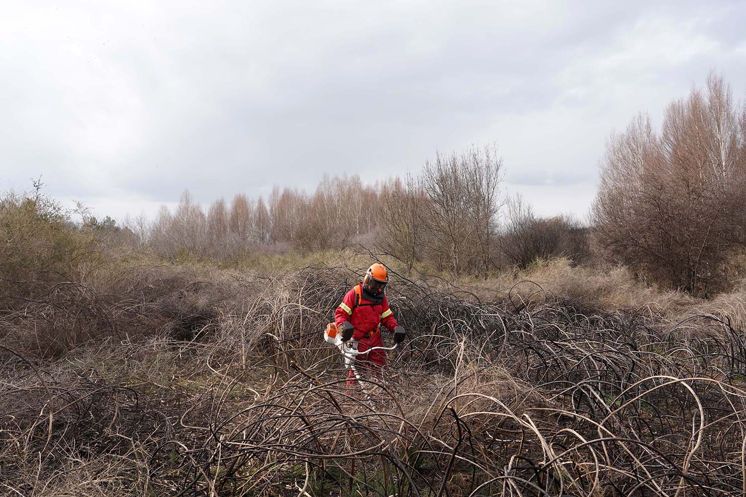 Efectivo de Prevención y Extinción de incendios en CyL ICAL