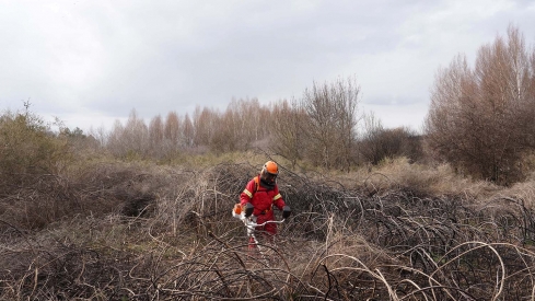Efectivo de Prevención y Extinción de incendios en CyL ICAL Efectivo de Prevención y Extinción de incendios en CyL ICAL