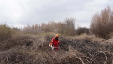 Efectivo de Prevención y Extinción de incendios en CyL ICAL Efectivo de Prevención y Extinción de incendios en CyL ICAL