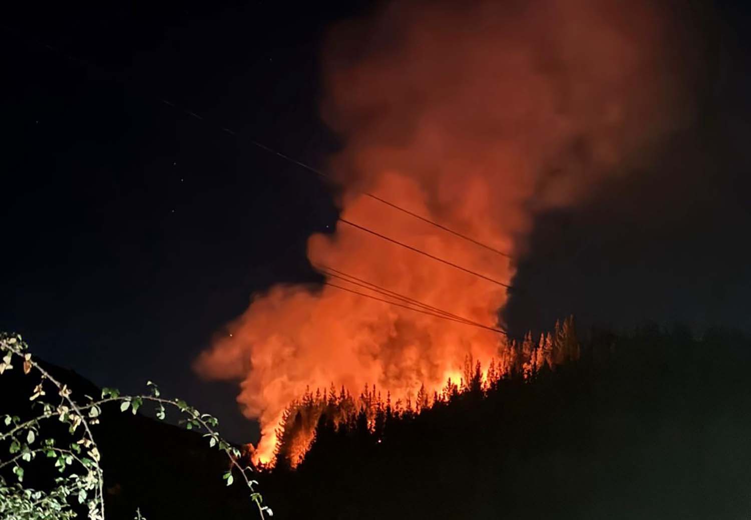 Incendio forestal de madrugada. archivo