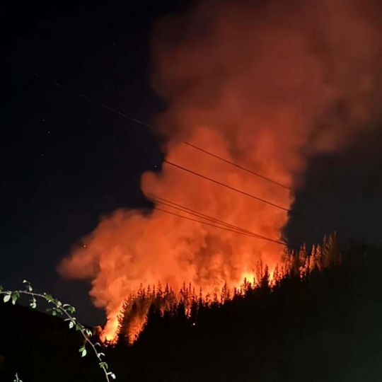 Incendio forestal de madrugada. archivo Incendio forestal de madrugada. archivo