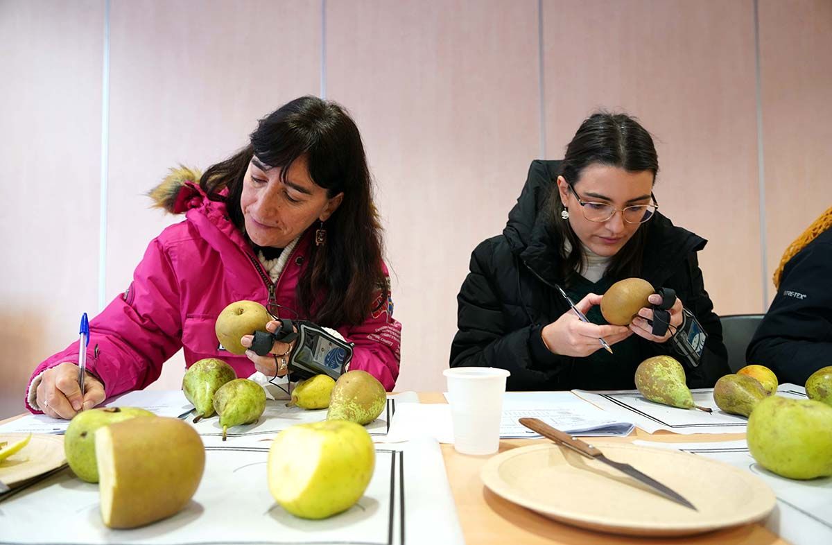 Un proyecto del Itacyl aplica la innovación tecnológica a la fruta de El Bierzo