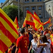 pexels myersmc16 919103