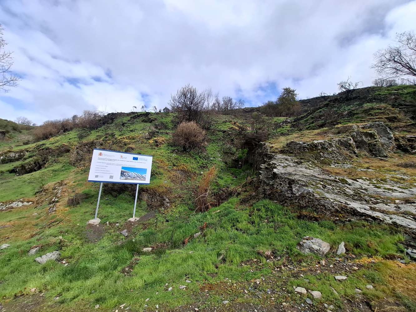 reforestacionhidrologicoforestalfasgar (1)