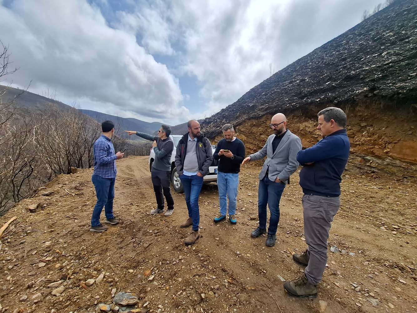 Reforestación hidrologico-forestal Fasgar