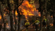 Incendio forestal. José Vicente, ICAL Incendio forestal. José Vicente, ICAL