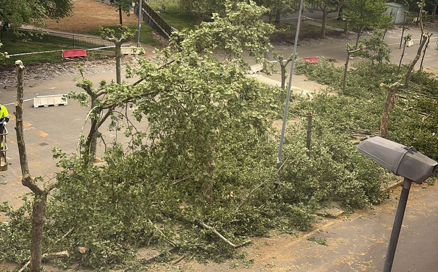 Tala de árboles en los Jardines del Sil