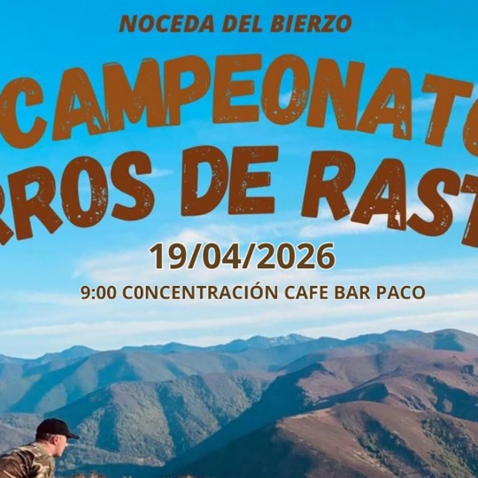 Campeonato de perros de rastro