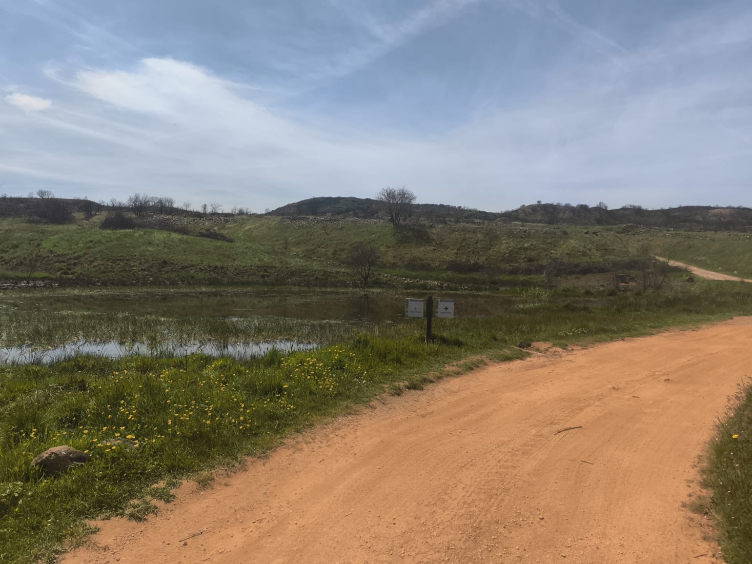 Limpieza de las sendas de Las Médulas tras el incendio forestal (1)
