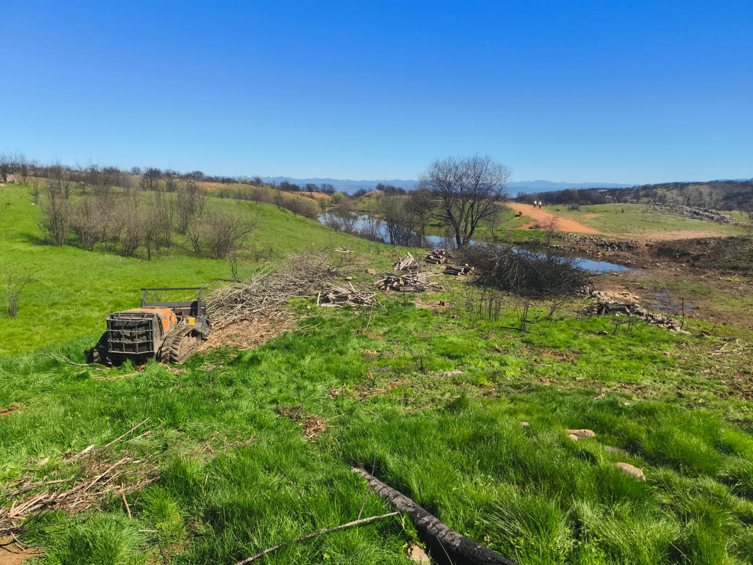 Limpieza de las sendas de Las Médulas tras el incendio forestal (2)