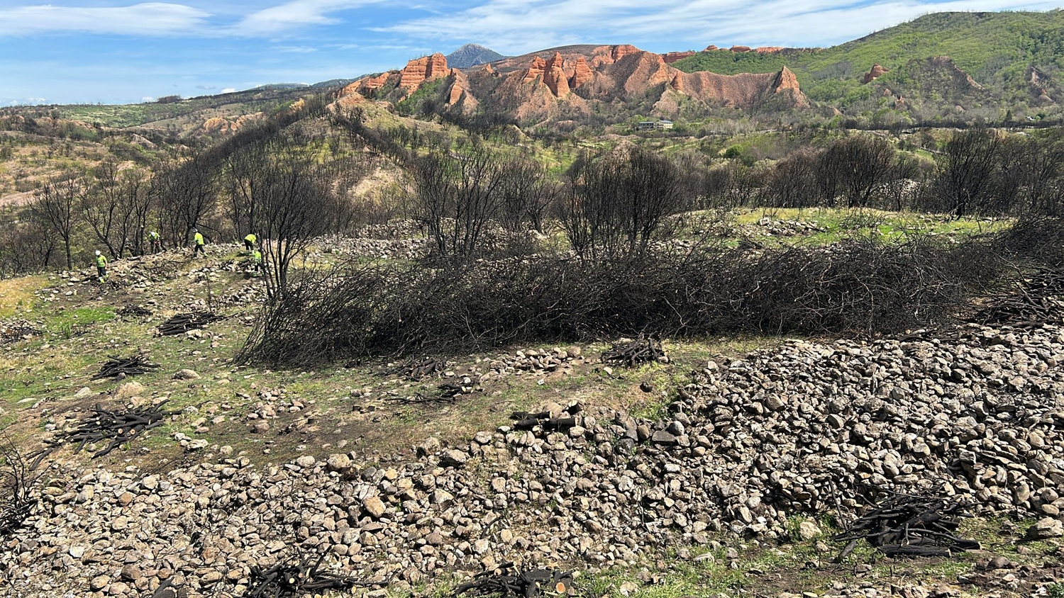 Limpieza de las sendas de Las Médulas tras el incendio forestal (4)