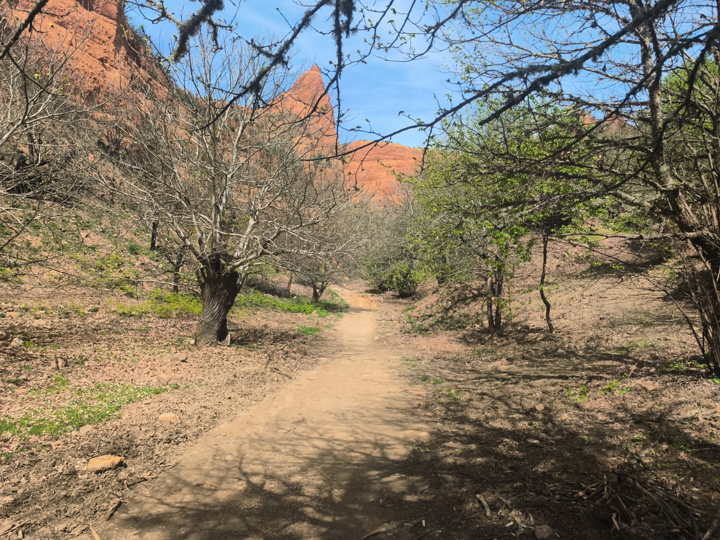 Limpieza de las sendas de Las Médulas tras el incendio forestal 