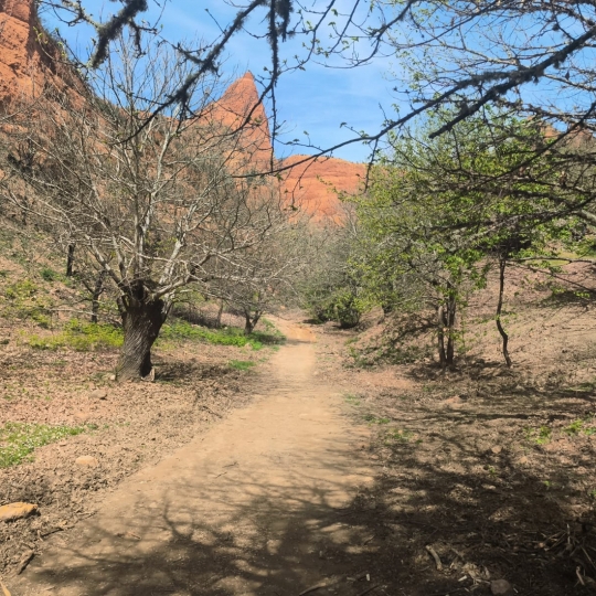 Limpieza de las sendas de Las Médulas tras el incendio forestal 