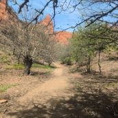 Limpieza de las sendas de Las Médulas tras el incendio forestal 