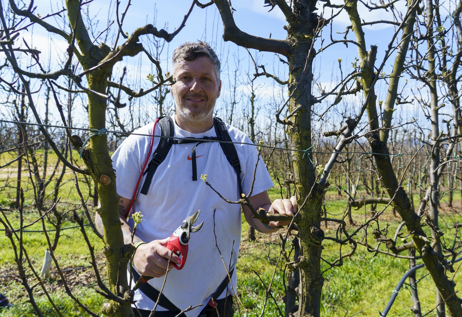 El presidente de la Asociación Berciana de Agricultores, Daniel Franco | Foto: César Sánchez, ICAL