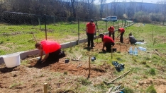 Parcela experimental en Quintana