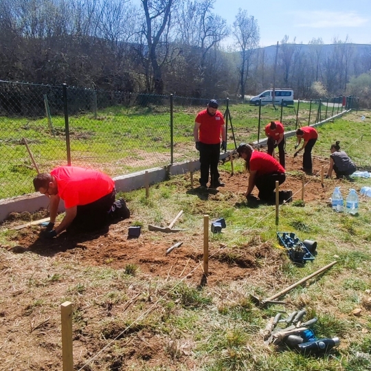 Parcela experimental en Quintana