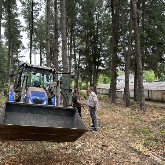 Plan Montel en el barrio de Compostilla