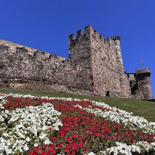 Castillo de Ponferrada archivo