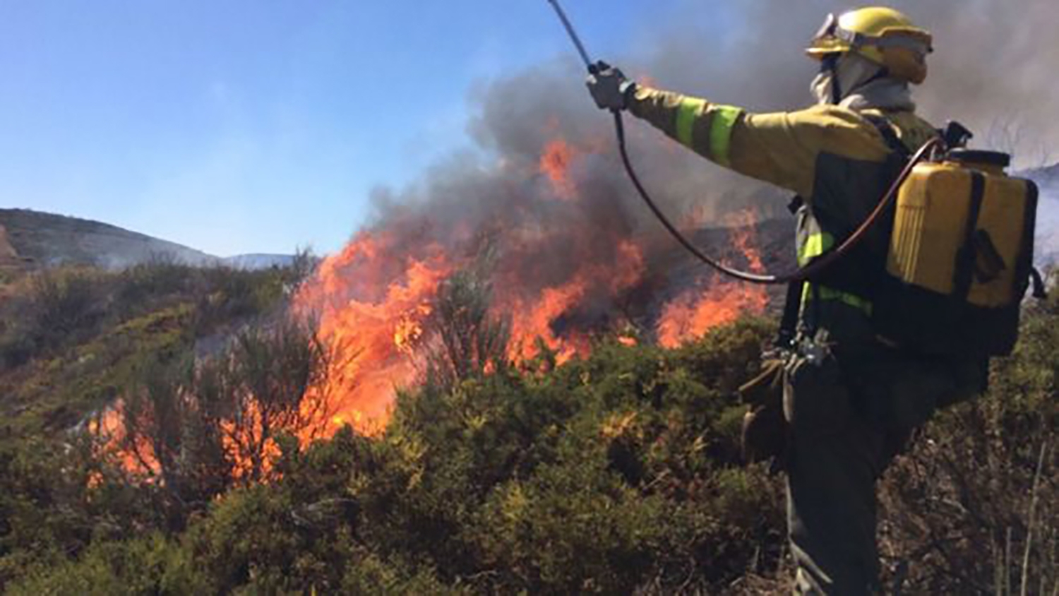 Bombero forestal trabajando en un incendio Bombero forestal trabajando en un incendio