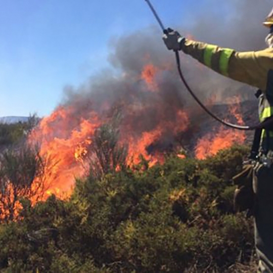 Bombero forestal trabajando en un incendio