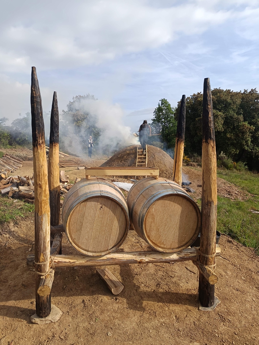 Carbonera tradicional en el Soto de Villar de los Barrios (8)