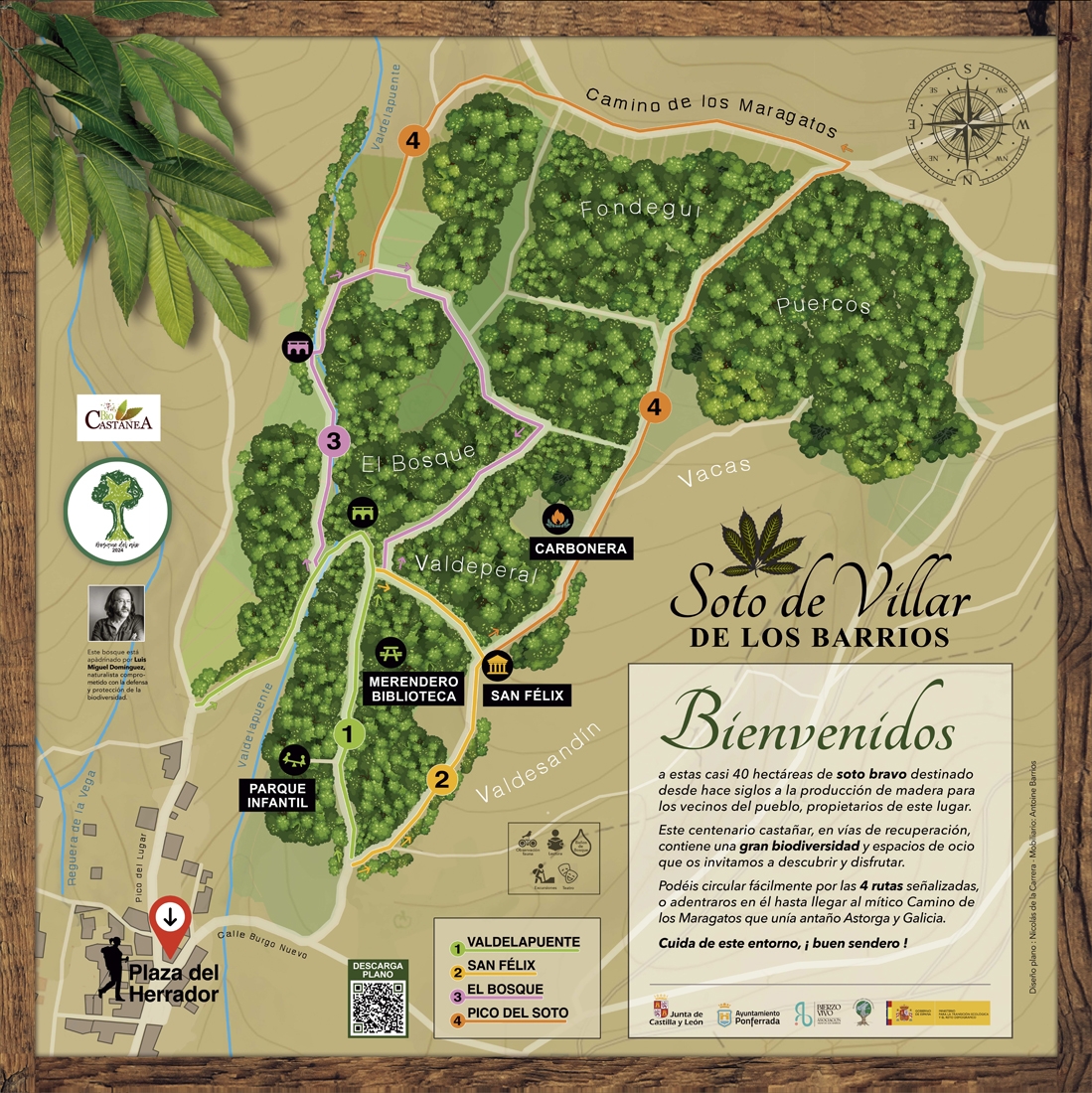 Carbonera tradicional en el Soto de Villar de los Barrios