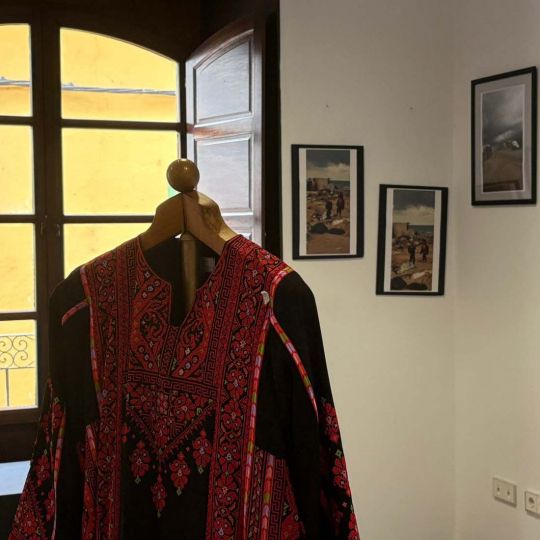 Exposición 'Superviviencia desde Gaza' (12)
