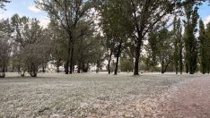 El Bierzo bajo la pelusa del chopo (folín): Cómo se produce y el origen de esta ‘nieve’ primaveral 