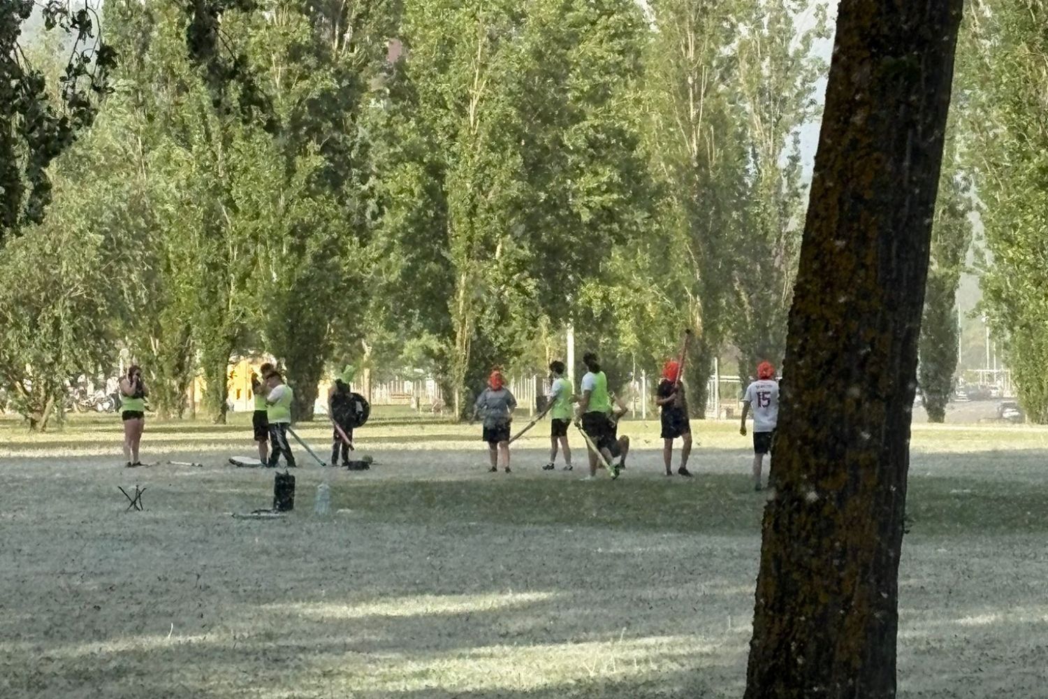 Parque del Oeste de Ponferrada plagado de 'folín'
