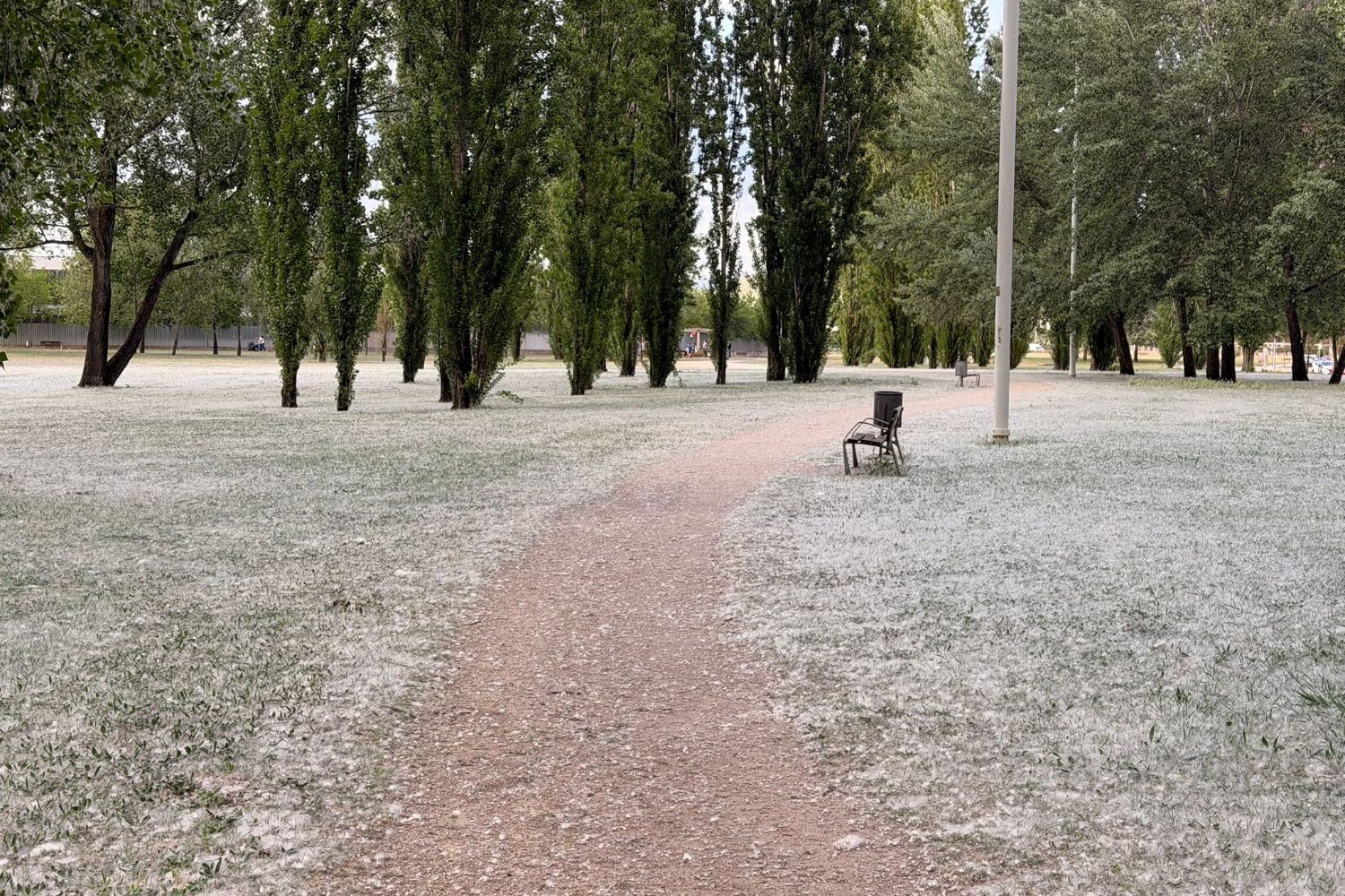 Parque del Oeste de Ponferrada plagado de 'folín'