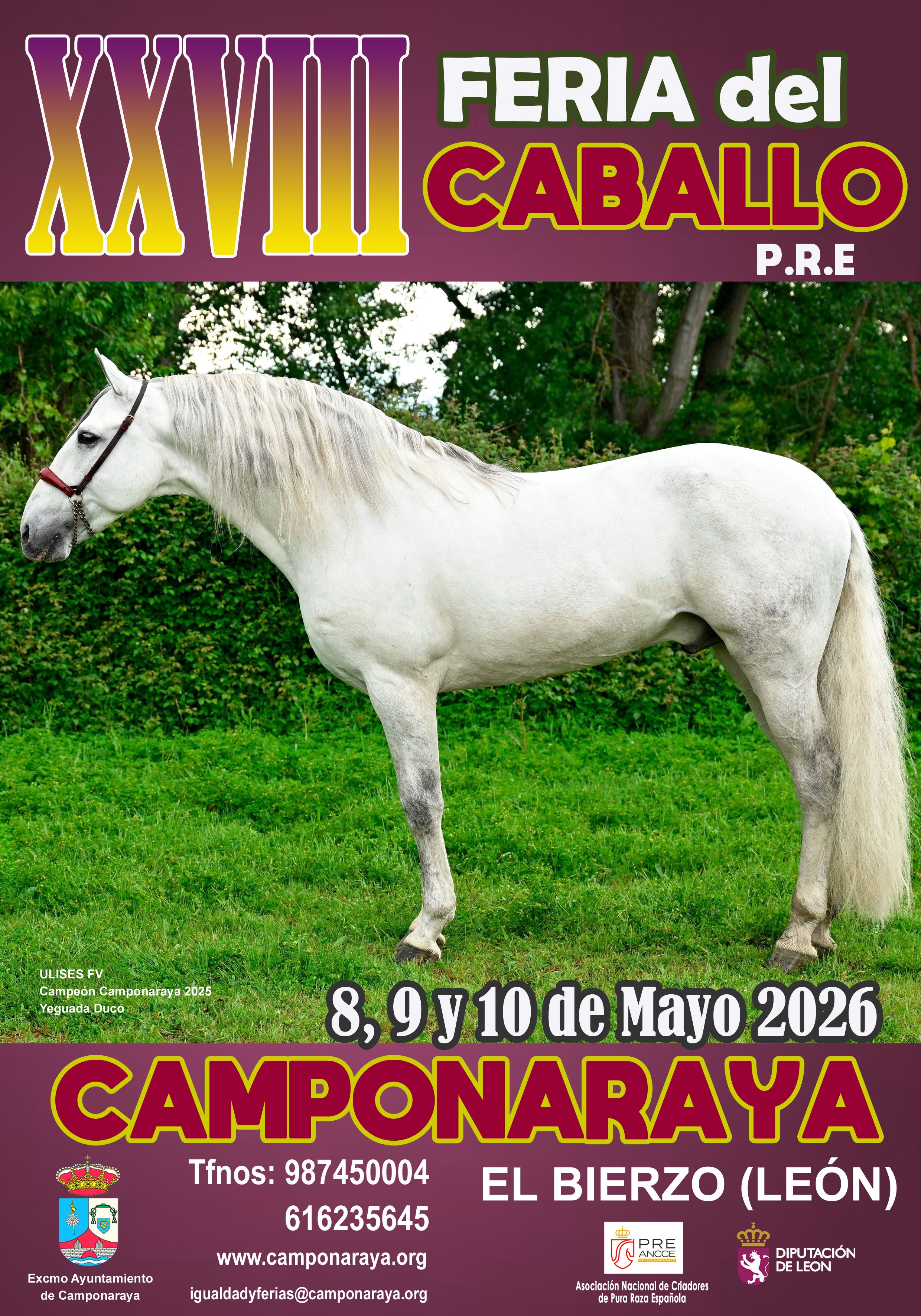 Cartel de la Feria del Caballo de Camponaraya