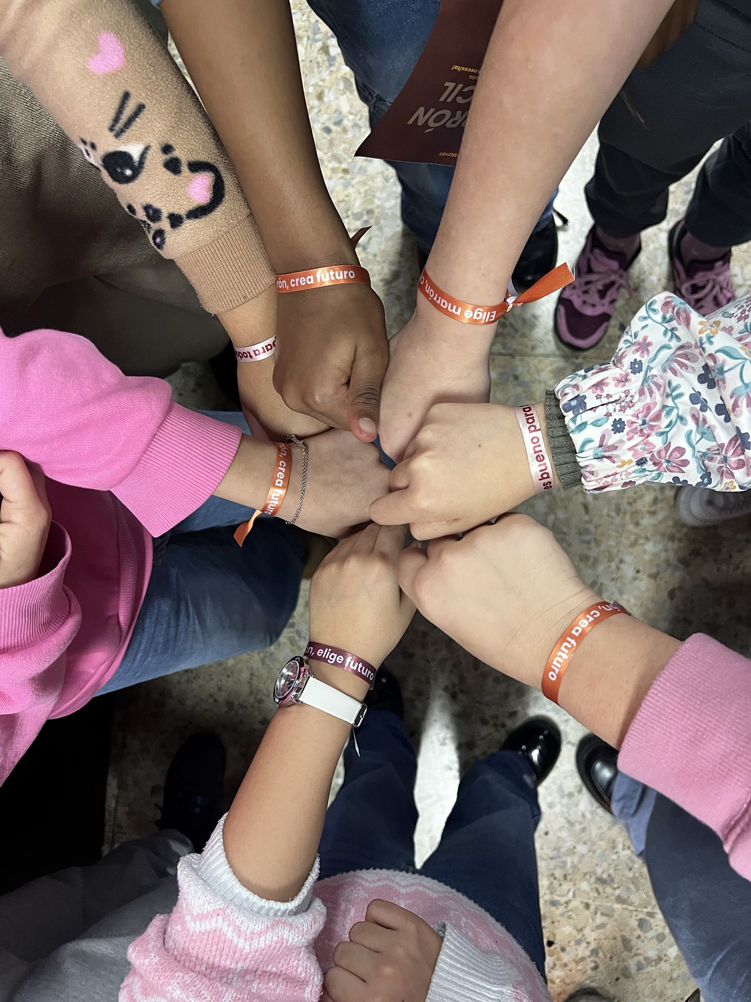 Contenedor Marrón Ayto de Ponferrada