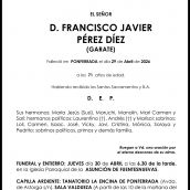 FRANCISCO JAVIER  PÉREZ DÍEZ  (GARATE) 