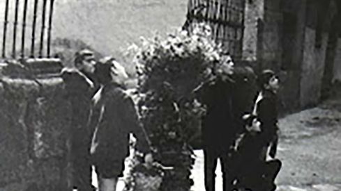 Aquellos pobladores que se convirtieron en árboles: El origen de los Maios en Villafranca del Bierzo, una tradición que echa raíces sobre las generaciones