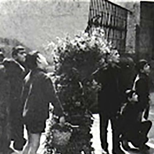 Aquellos pobladores que se convirtieron en árboles: El origen de los Maios en Villafranca del Bierzo, una tradición que echa raíces sobre las generaciones