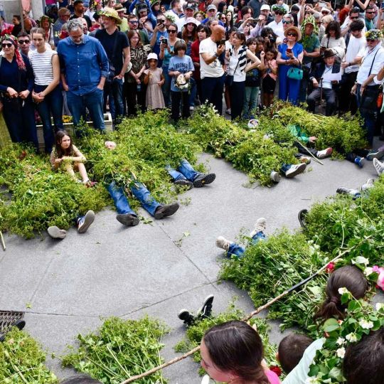 Maios en Villafranca del Bierzo 2026 (100)