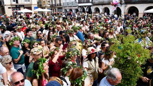 Maios en Villafranca del Bierzo 2026 (101)